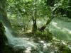Río Gradac Serbia