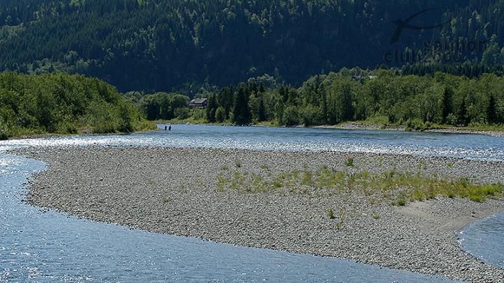 Viaje Pesca Noruega Río Orkla