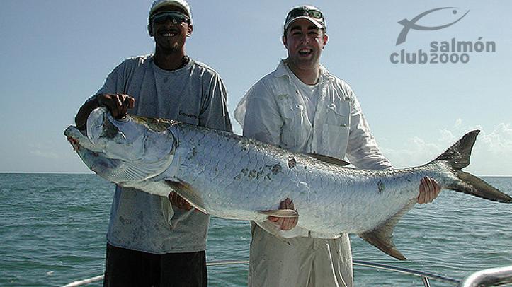Pesca en el Jungle Tarpon Lodge
