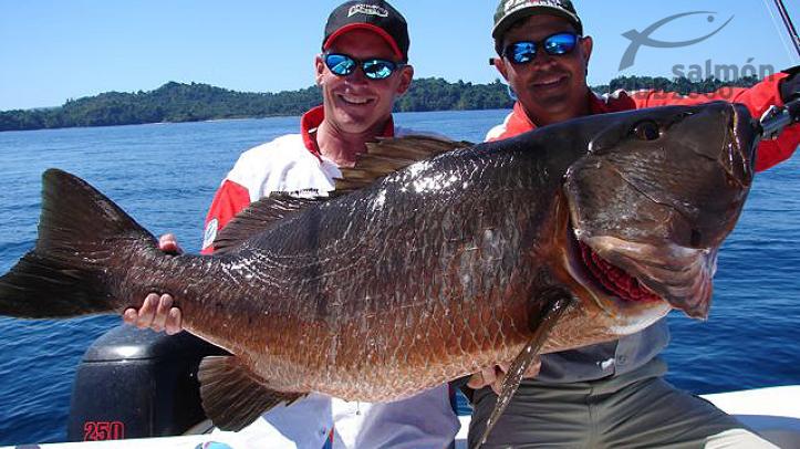 Pesca en el Golfo de Chiriquí, Oceáno Pacífico, Panamá.