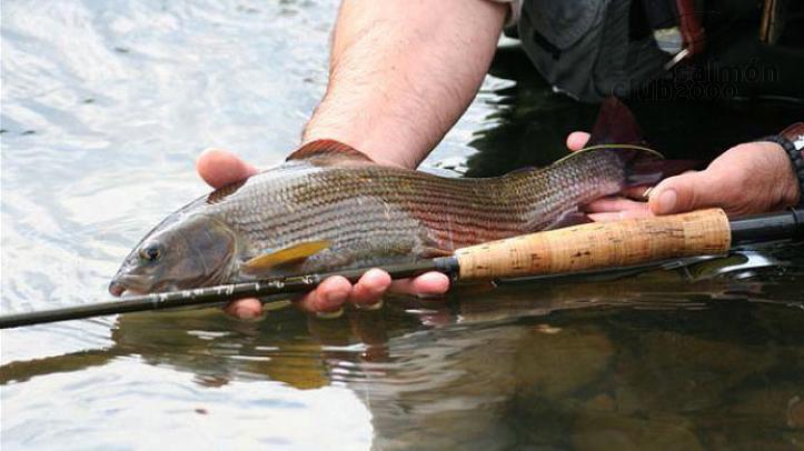 Pesca en Río San