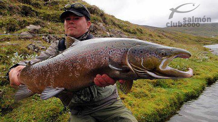 Pesca en Río Hofsá