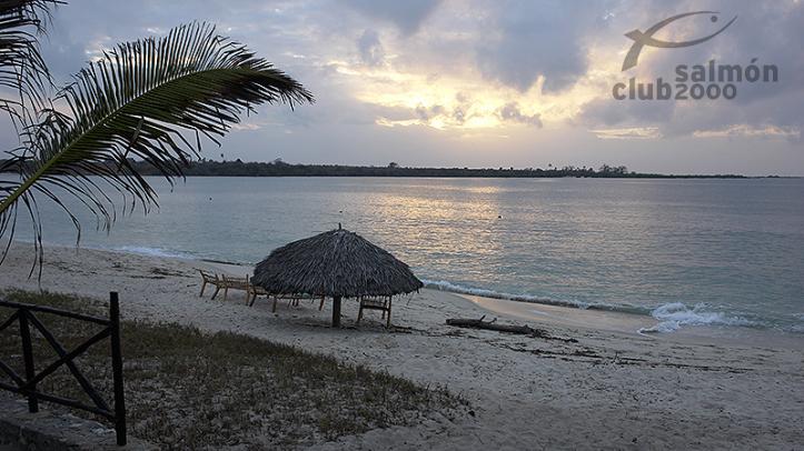 Playa de la Costa Sur de Tanzania