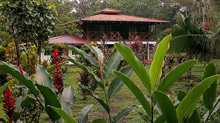 Jungle Tarpon Lodge