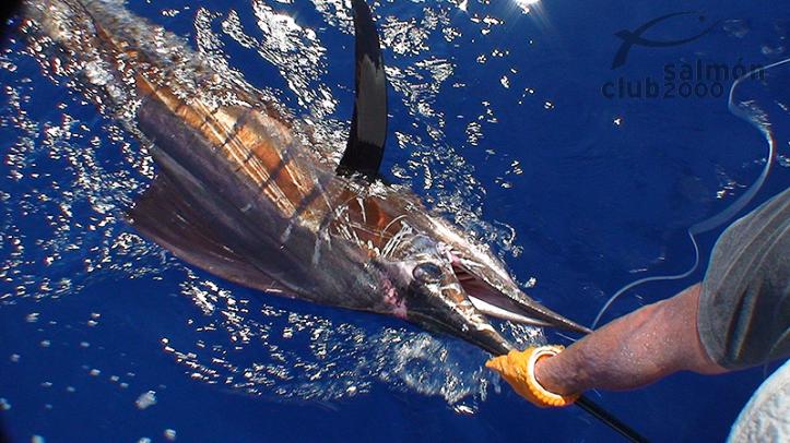 Pesca en el Archipiélago de Maldivas