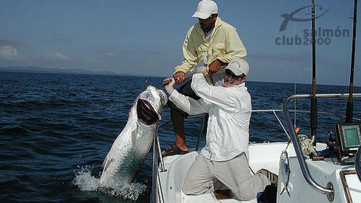 Pesca en el Jungle Tarpon Lodge