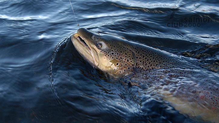 Pesca en el Río Minnivallalaekur