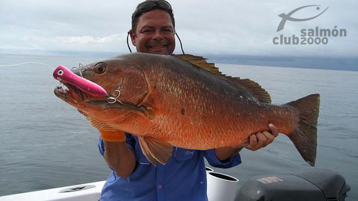 Pesca en el Golfo de Chiriquí, Oceáno Pacífico, Panamá.
