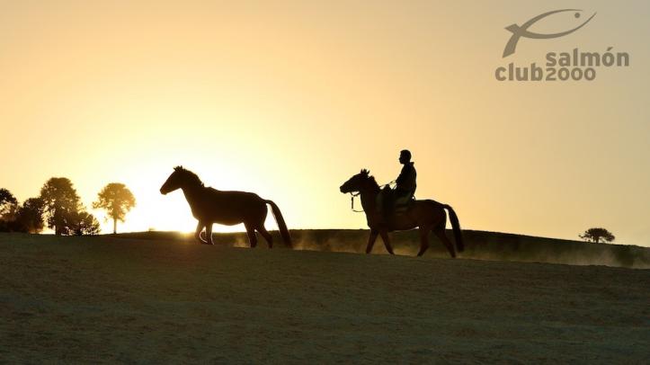 Caballos Northern Rivers