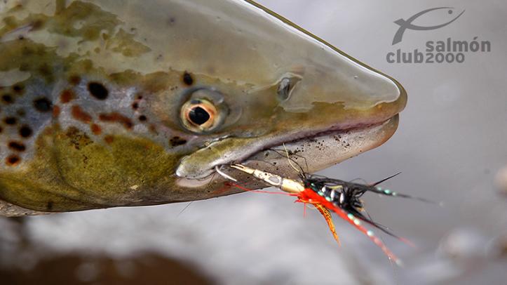 Pesca en el Río Breiddalsá