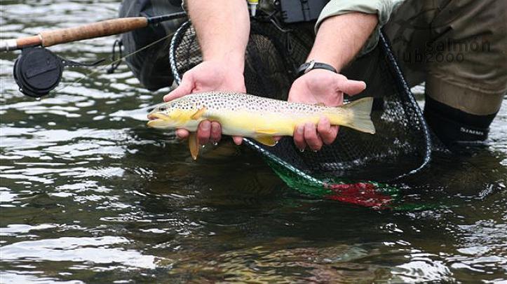 Pesca en Río San