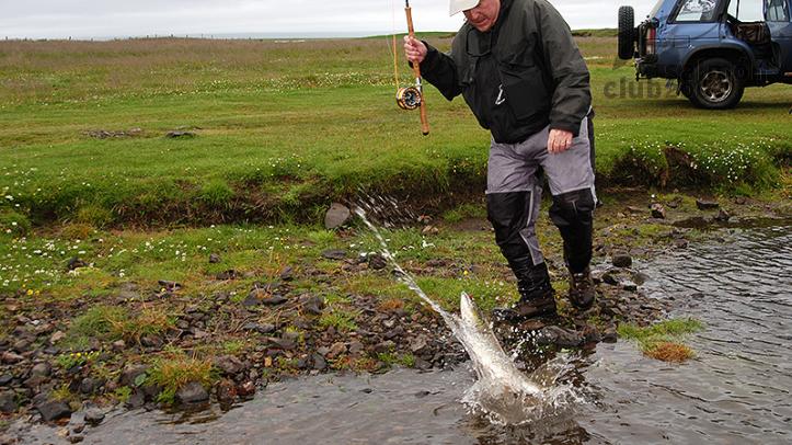 Pesca en el  Río Vatnsdalsá