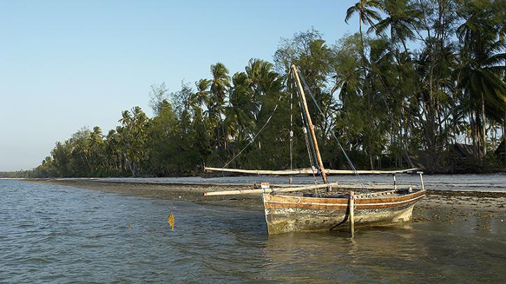 Playa de la Costa Sur de Tanzania
