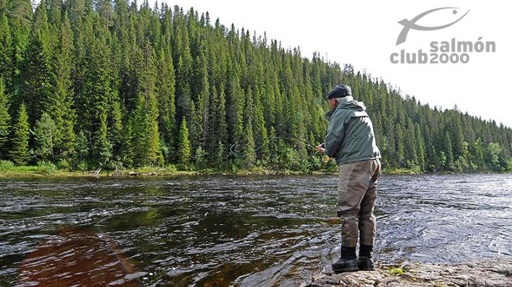 Pescador en la sección superior del río Gaula. NFC Tramo UG