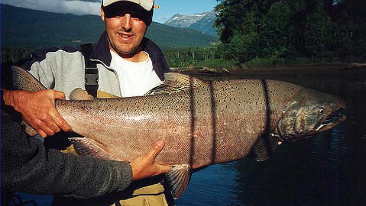 Pesca de Salmón del Pacífico en el río Nass, Columbia Británica