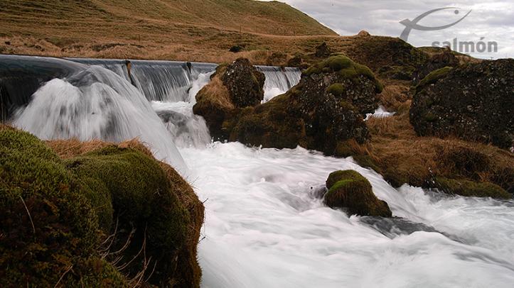 Río Tungulaekur