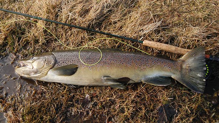Pesca en el Río Minnivallalaekur