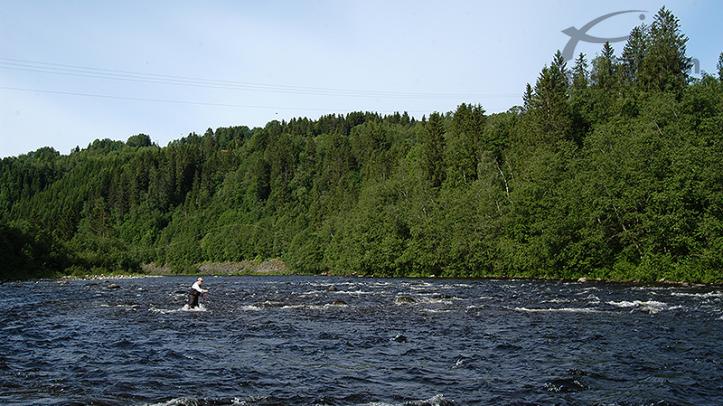 Río Orkla a pocos metros del Orklagaard Lodge