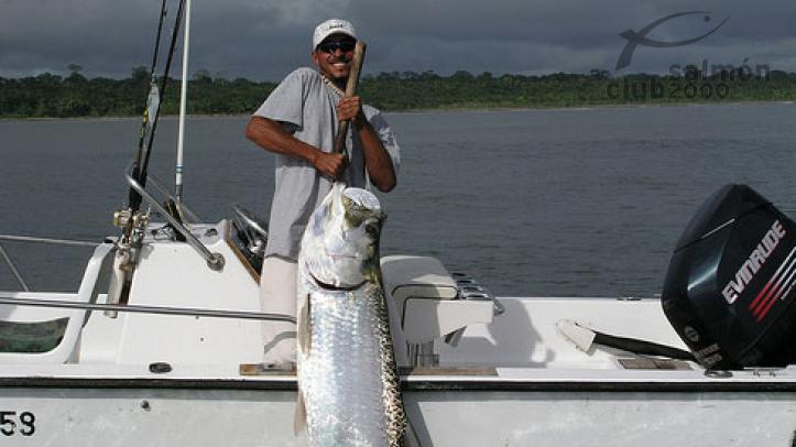 Pesca en el Jungle Tarpon Lodge