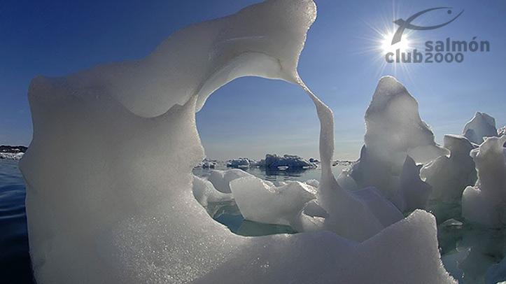 Iceberg del sur de Groenlandia, escenario de la caza del Buey Almizclero