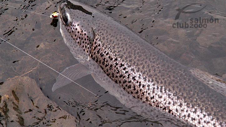 Pesca en el Río Grenlaekur