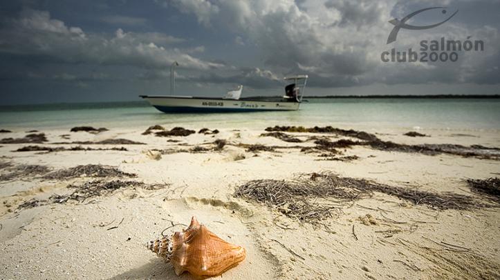 Playa de la isla South Andros, Bair´s Lodge, Bahamas