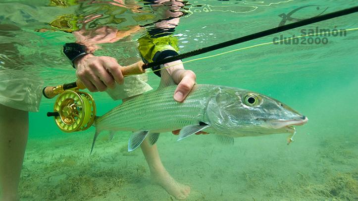 Pesca del Macabí con Bair´s Lodge, en la isla de South Andors, Bahamas