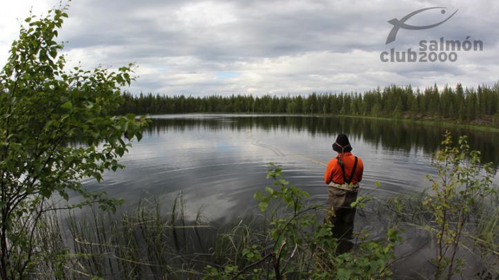 Pesca en Suecia Abborrträsk
