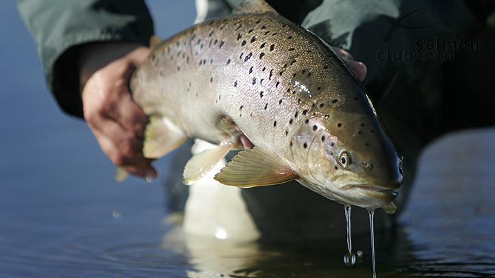 Pesca en Río Gallegos