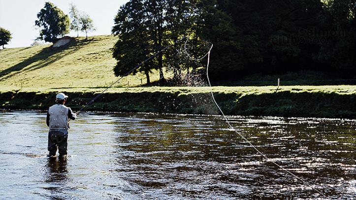 Pesca en el río Blackwater con Ballyvolane House