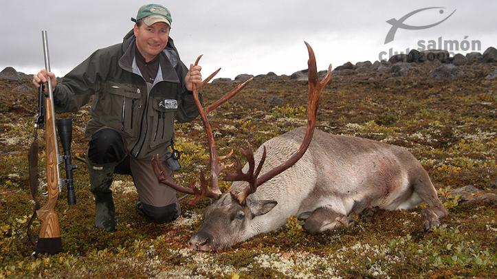 Caza de Reno Ártico en Islandia