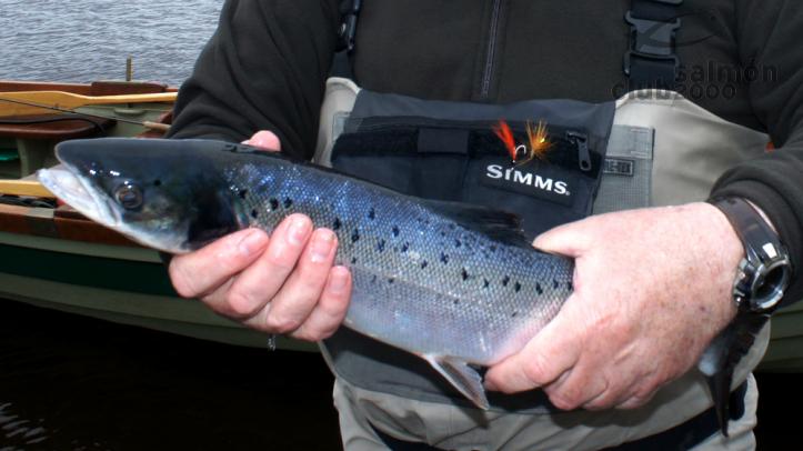 Pesca en Irlanda