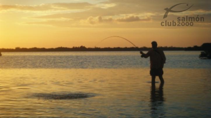 Pesca en Punta Allen
