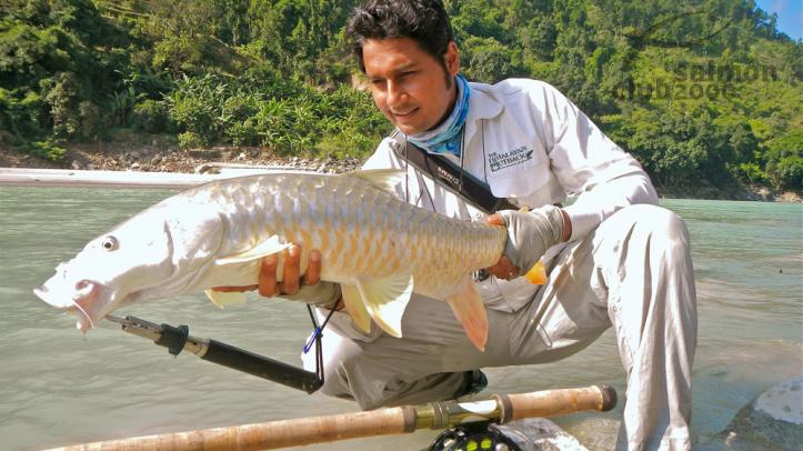 Pesca del Mahseer