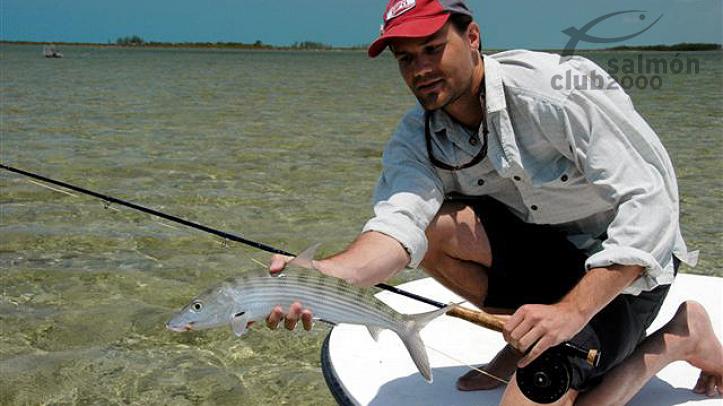 Pesca de Macabí en Abaco Lodge, en Bahamas