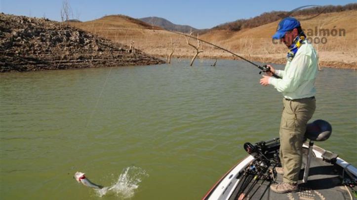 Pesca en Bcurato