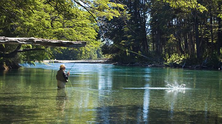 Pesca con el Parque Nacional Alerce con Lago Verde Wildenerss Resort