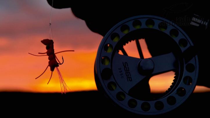 Pesca a Mosca en Groenlandia