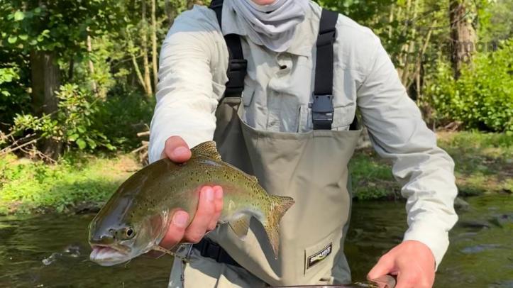Guías de pesca con mosca