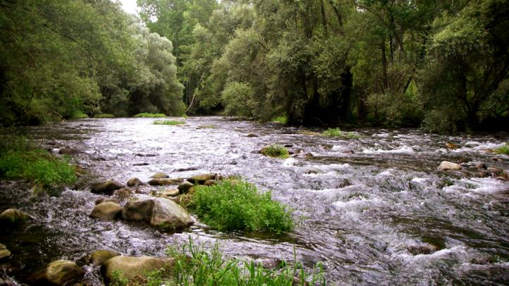 Coto de pesca intensiva todo el año