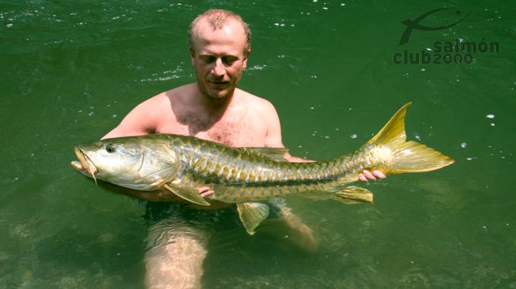Mahseer