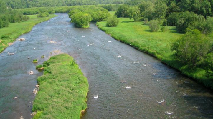 Río Ozernaya en Kamchatka