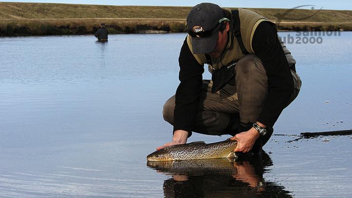 Pesca en Rio Grande
