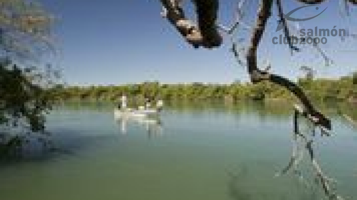 Pesca en Río Paraná - Dorado