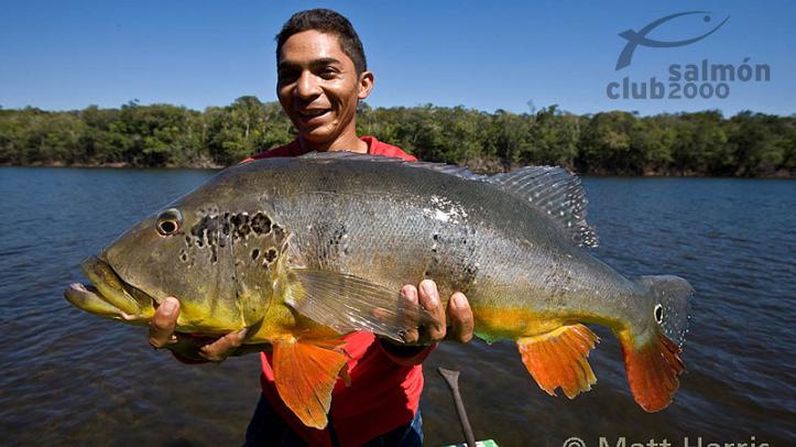 Pesca Brasil