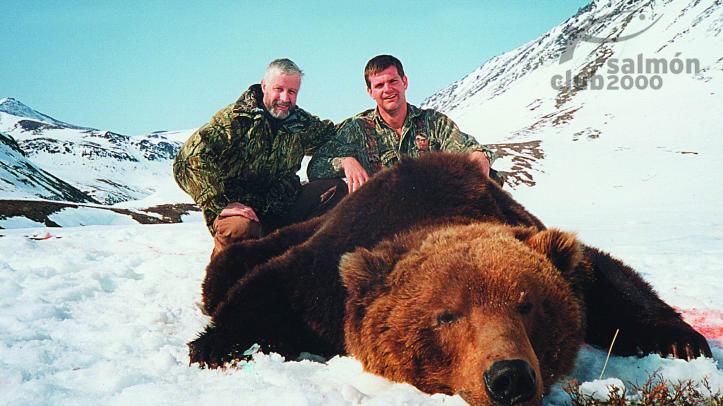 OSO PARDO DE KAMCHATKA