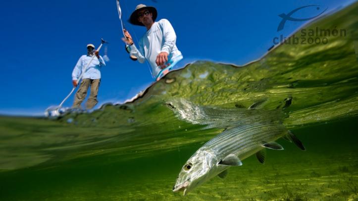 Pesca desde la barca