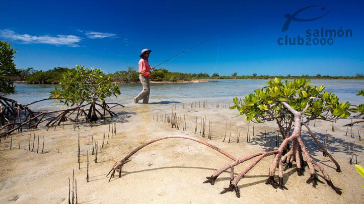 West Salinas. Zapata National Park