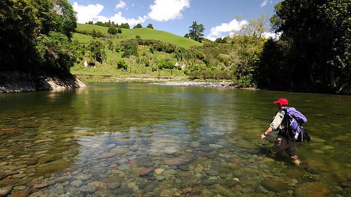 Pesca de truchas en río Tongariro. Tongariro Lodge
