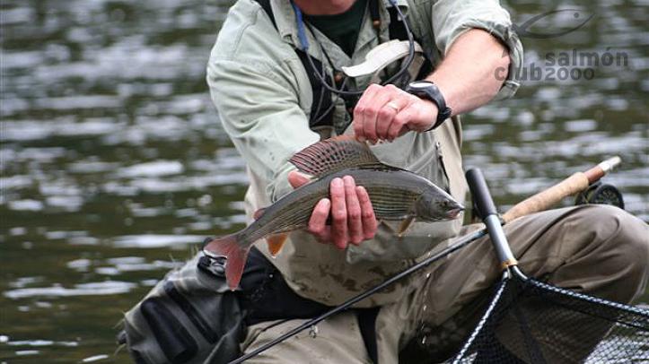 Pesca en Río San